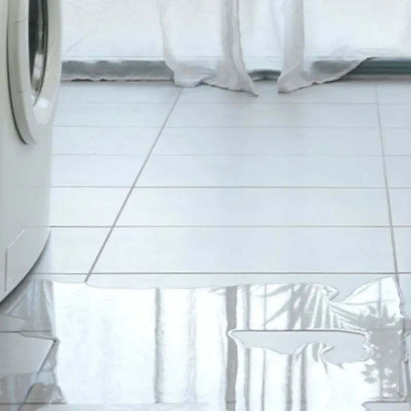 Appliance Leak Cleanup in Chrisman, IL