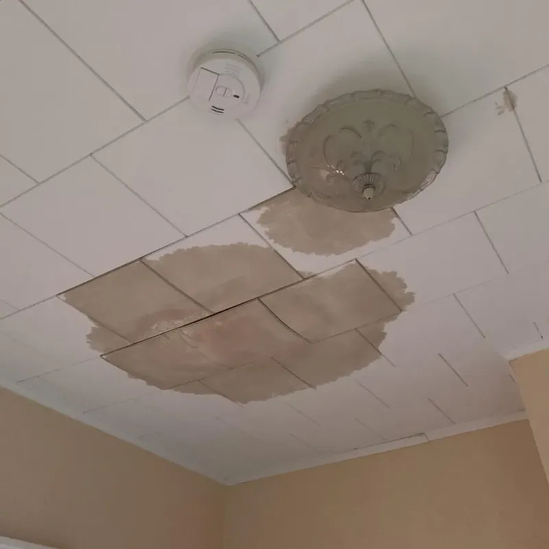 Ceiling Water Damage Repair in Chrisman, IL