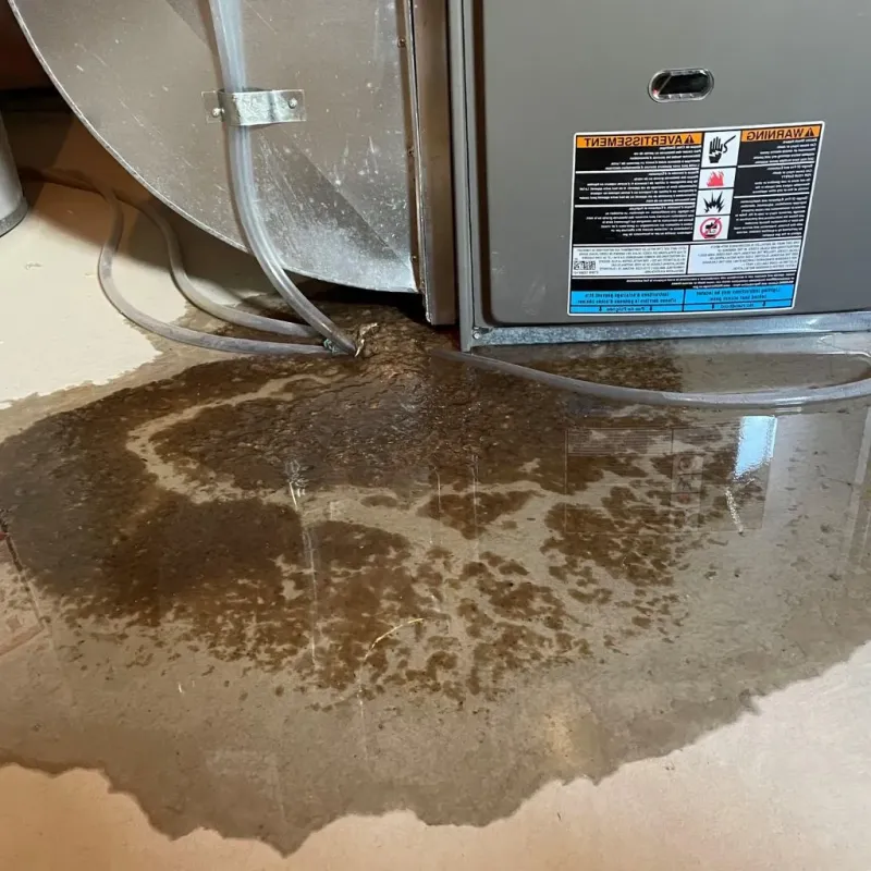 Pipe Burst and Leak Restoration in Chrisman, IL