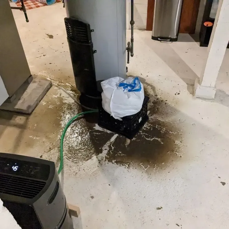 Sewage Backup Cleanup Service in Chrisman, IL